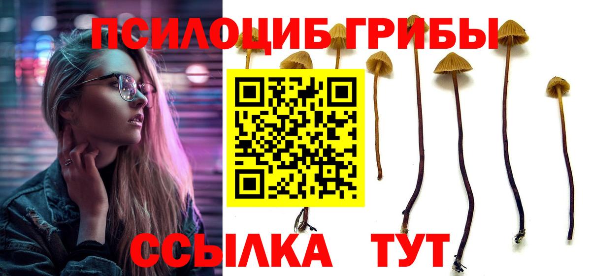 Псилоцибиновые грибы ЛСД Камень-на-Оби