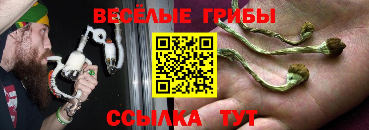 Камень-на-Оби  Галлюциногенные грибы Psilocybe  где можно купить наркотик  Псилоцибиновые грибы ЛСД  Вход с VPN 